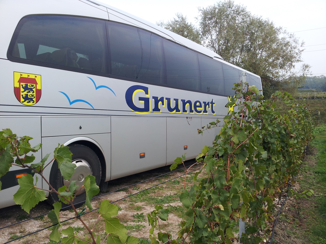 Husum, Reisebüro Grunert Westküstenportal